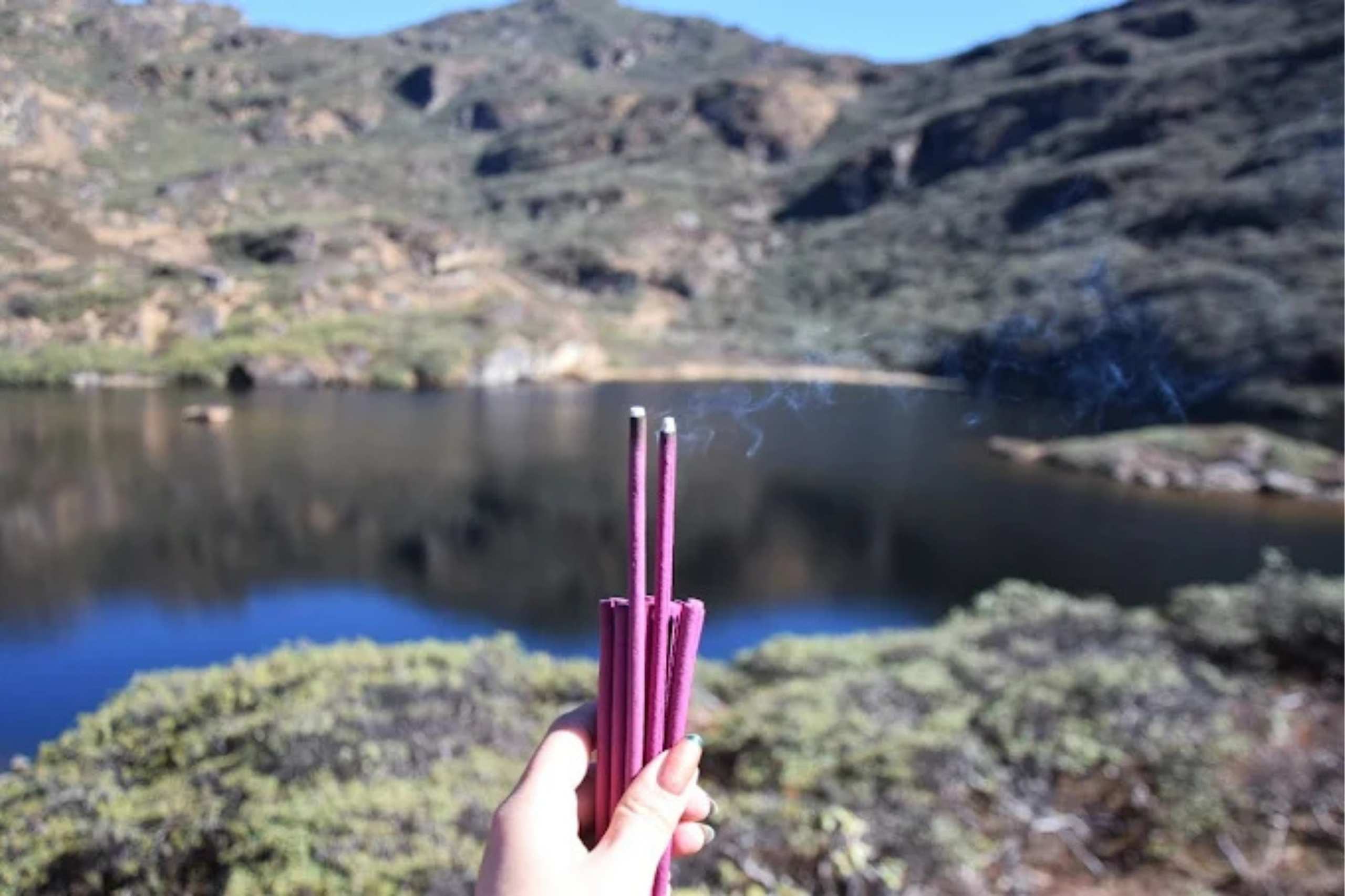 Bumdrak monastary (6)